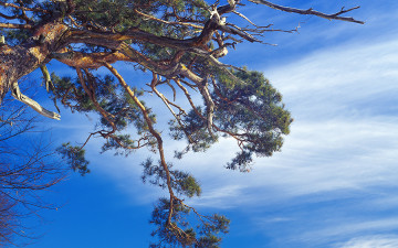 남덕유와 서봉을 바라보며...