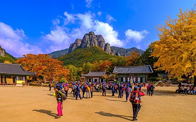 대전사