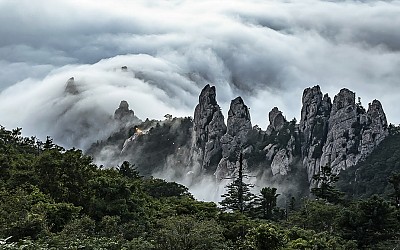 어느 여름날 용아