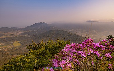 청산도 보적산에서