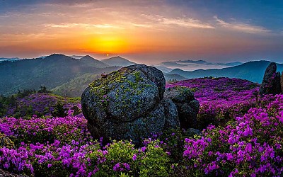 초암산의봄