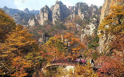 남설악