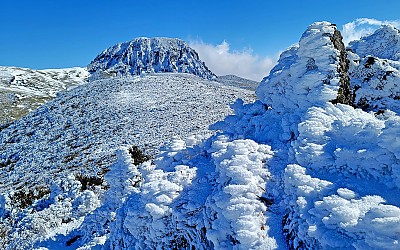 한라산