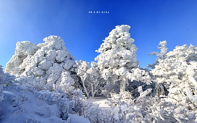 한라산 설경