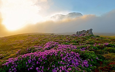 한라산