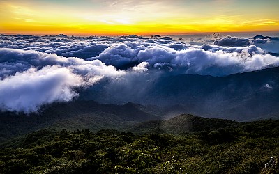 춤추는 운해의 물결