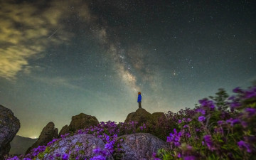 별이 빛나던 밤