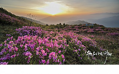 지리산의 봄