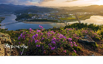 하동의 봄