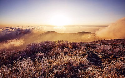 덕유산의 이른아침