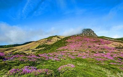 한라산