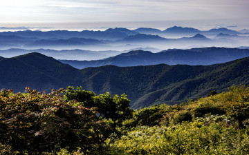 회원님들 감사합니다