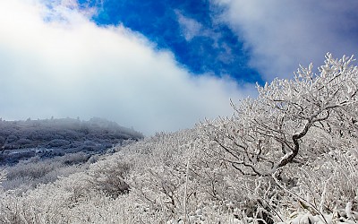 잠깐 보여준 하늘