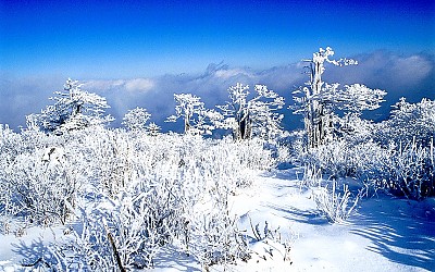 태백산