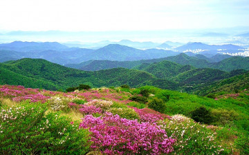 무등산국립공원