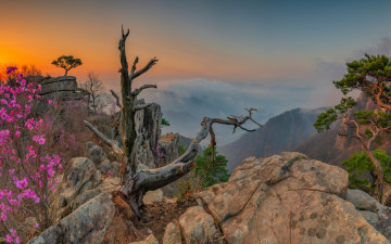비온 뒤에 대둔산