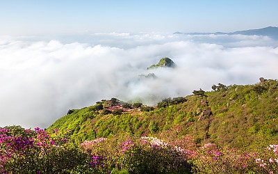 형제봉 운해