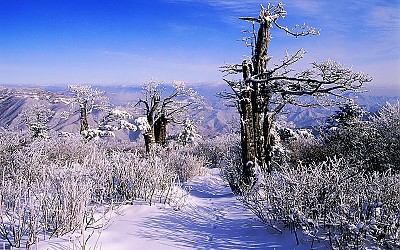 태백산