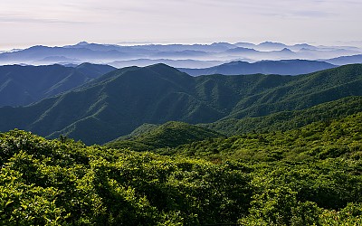 산 너울