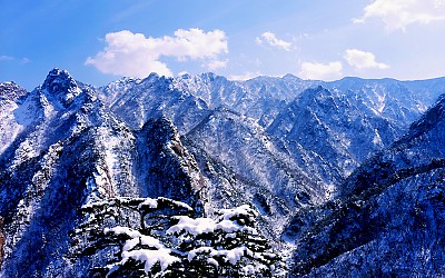 설경
