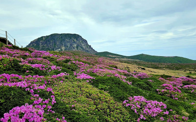 한라산.