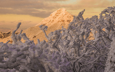 월출산. - 월출산