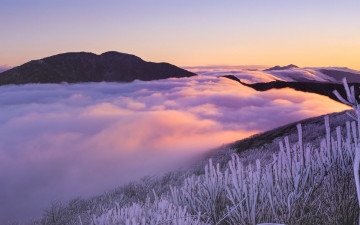 노고단 고개에서..... - 지리산