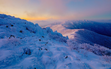 조용한 새벽에.