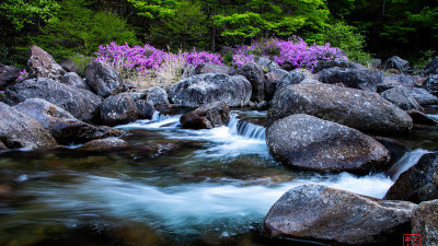 Image 128901