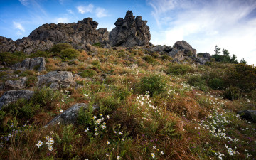 촛대봉 아래 꽃밭