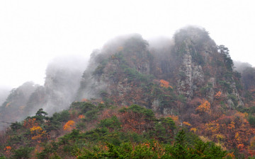 단양호의  비경ᆢ