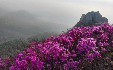 금정산 - 금정산