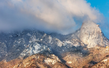 아침 빛 들때...
