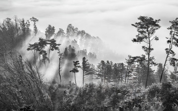 현란한 색에서 벗어 나고픈