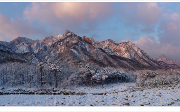 아쉬운 아침 빛
