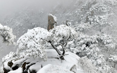도봉산의 설송 - 도봉산