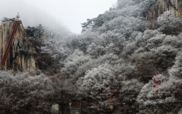 이른아침 대둔산의 눈꽃