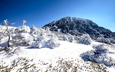 한라산 설경