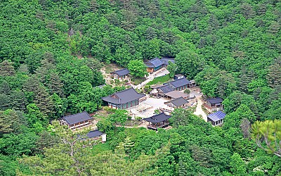 설악 오세암의봄