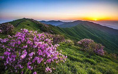 소백의 일출시간에