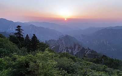소청 일물