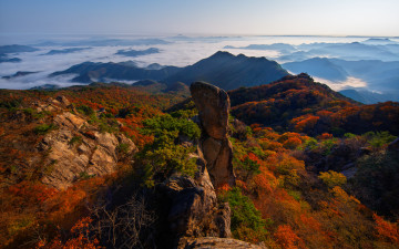 가을로의 대둔산