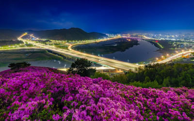 와룡산