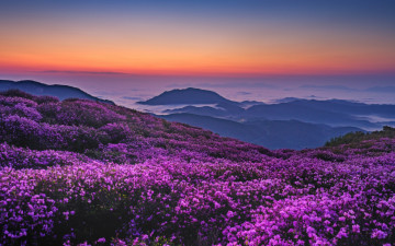 황매산 여명의 시간