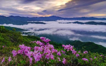 왕에서 왕을 바라보다.