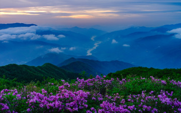 왕 여명의 시간