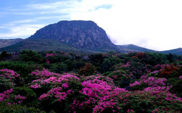 한라산.