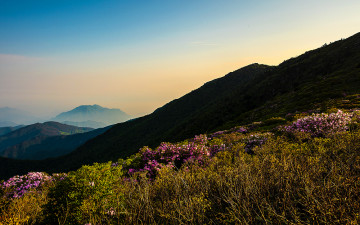 덕유! 그 아름다움에 취하다.