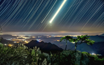 별도 달도 흐르는밤