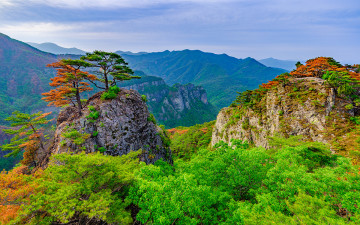 겨우살아남았는데~